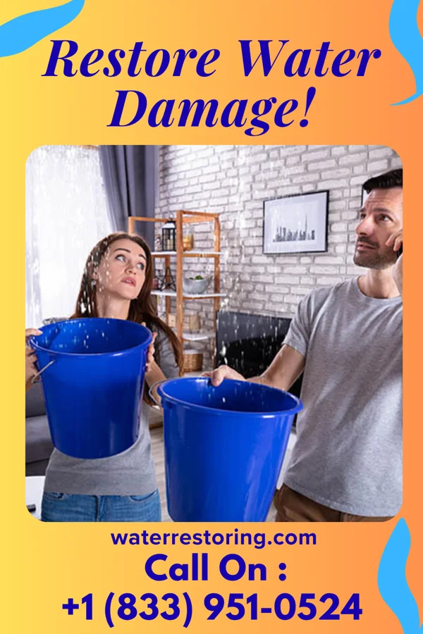 water restoration Trusted Water Cleanup Force Clyman