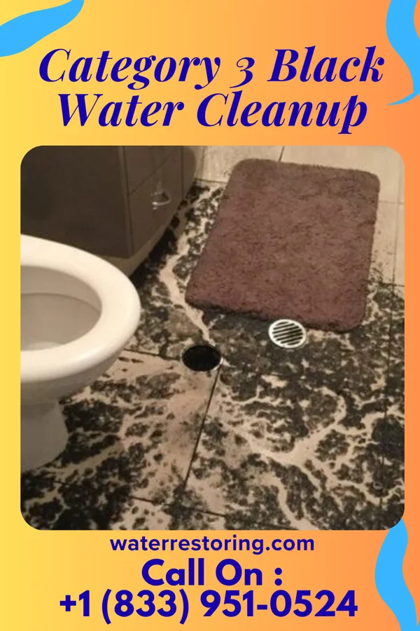 Category 3 Black Water Cleanup in Clyman, WI