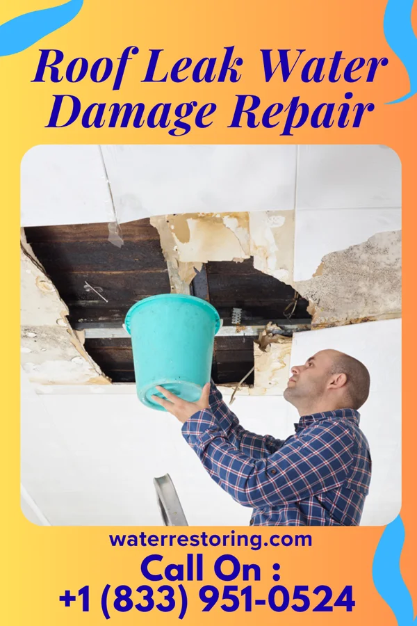 Roof Leak Water Damage Repair in Clyman, WI
