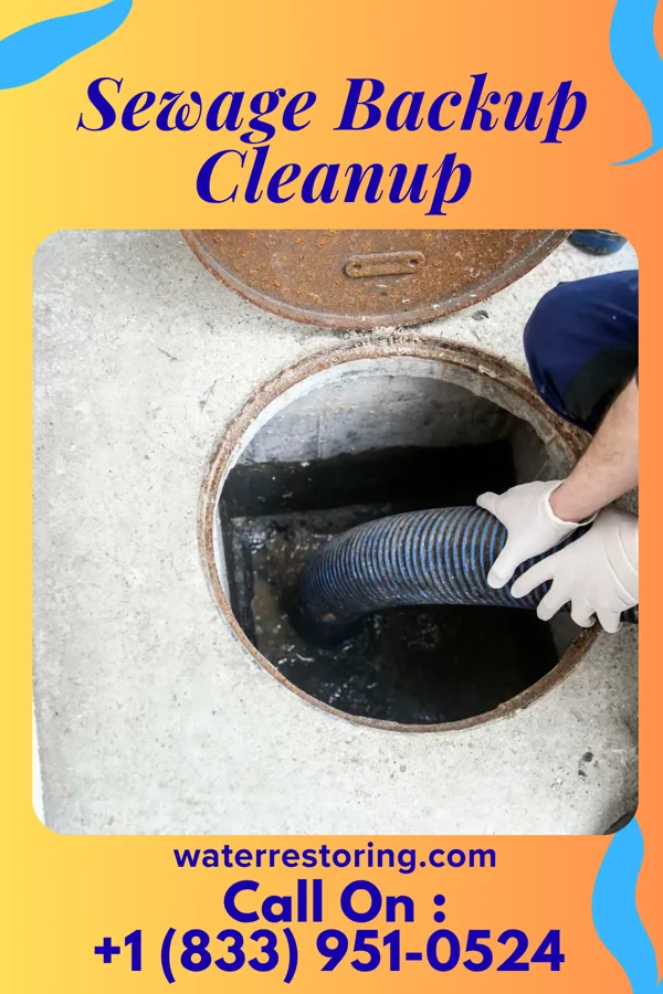 Sewage Backup Cleanup in Clyman, WI