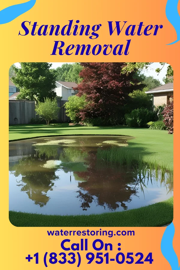 Standing Water Removal in Clyman, WI